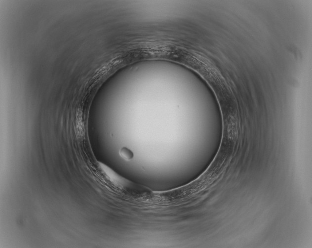 X0000113031298200908271446