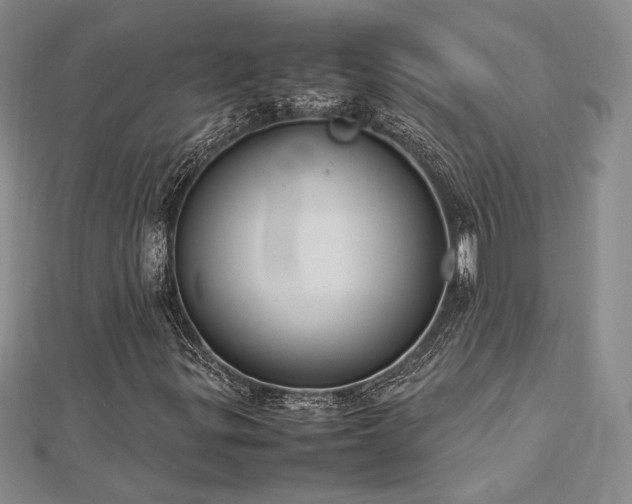 X0000113031299200908271446