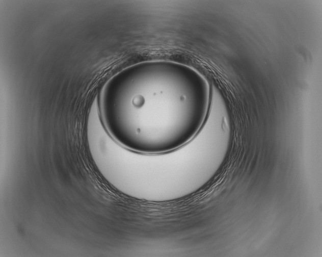 X0000113031300200908271446