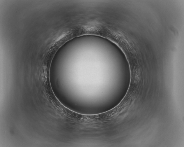 X0000113031301200908271446