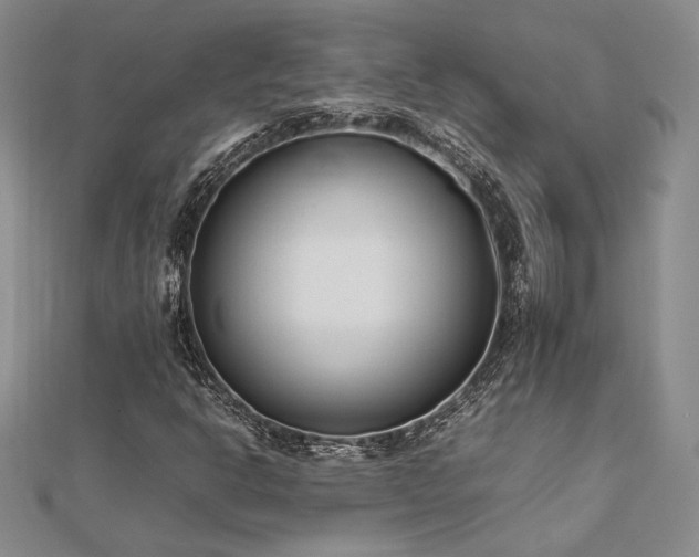 X0000113031302200908271446