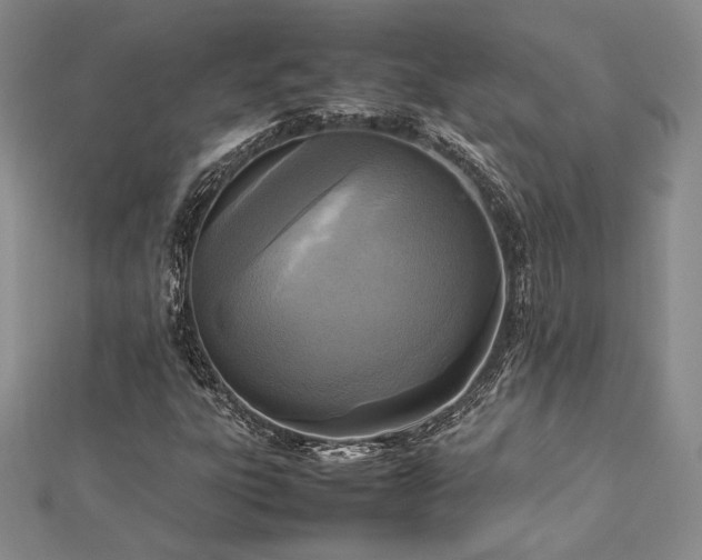 X0000113031303200908271446