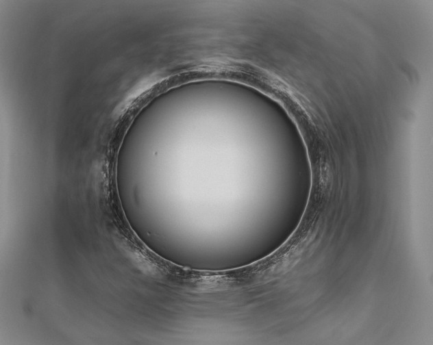 X0000113031304200908271446