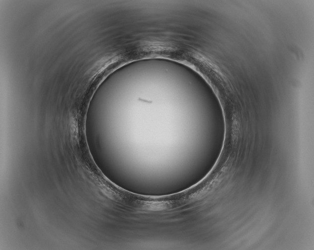 X0000113031305200908271446