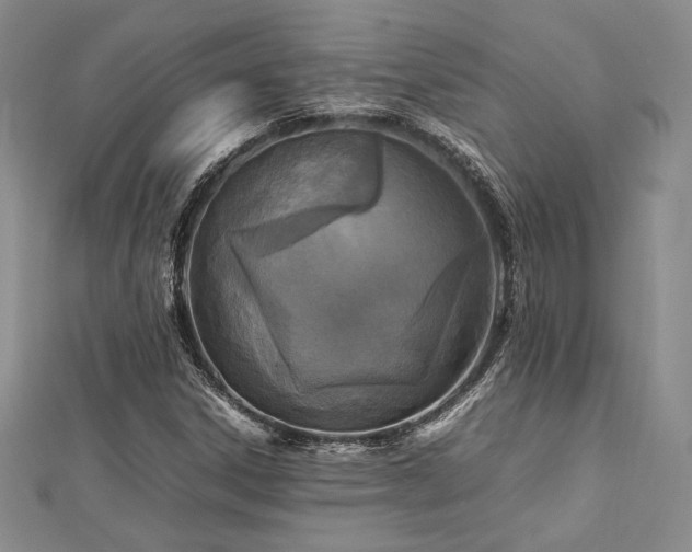 X0000113031306200908271446