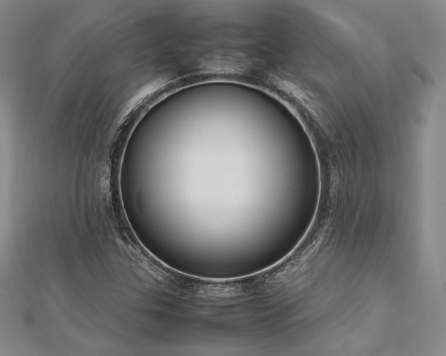 X0000113031307200908271446