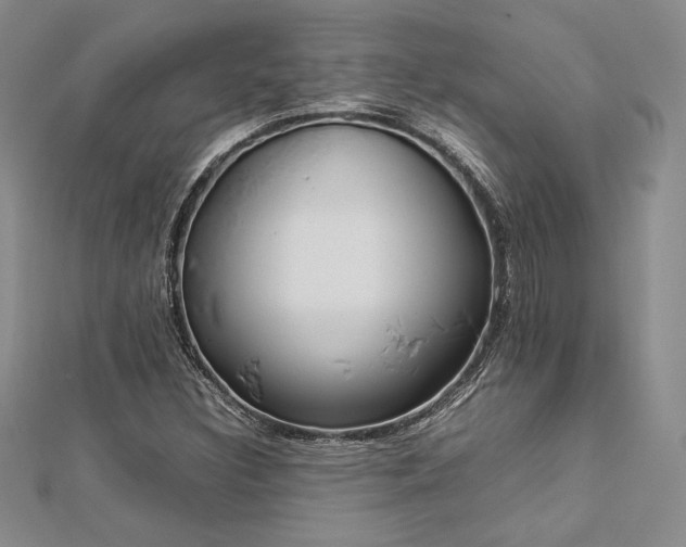 X0000113031308200908271446