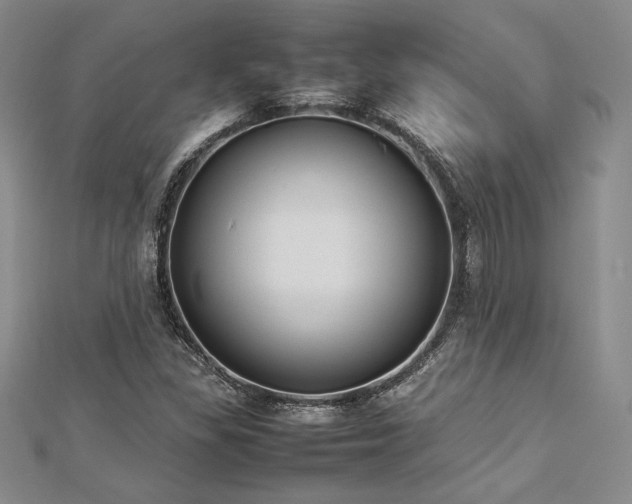 X0000113031309200908271446