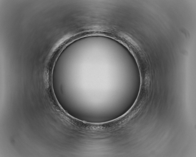 X0000113031310200908271446