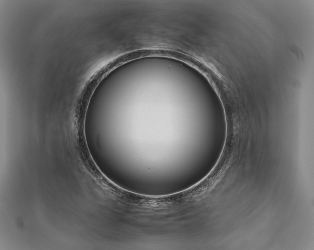 X0000113031311200908271446