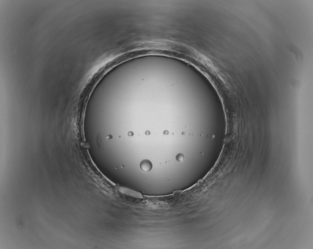 X0000113031312200908271446