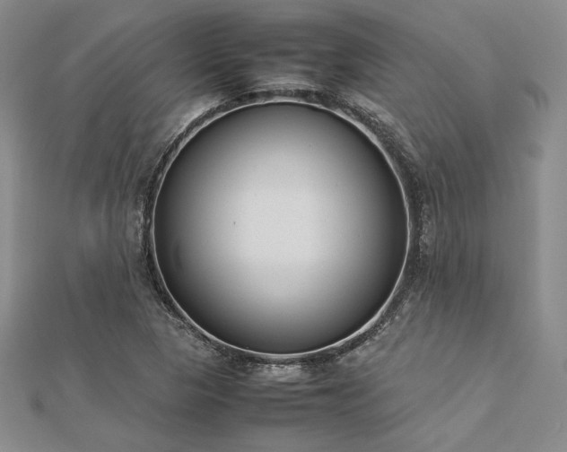 X0000113031313200908271446