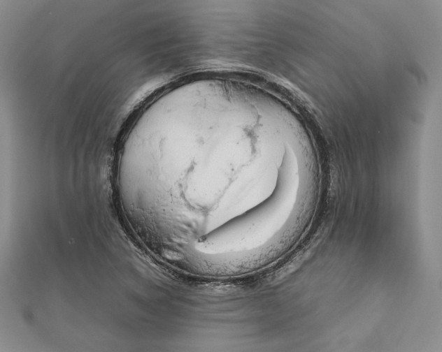 X0000113031314200908271446