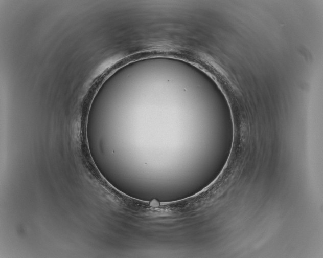 X0000113031315200908271446