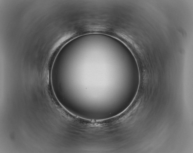 X0000113031317200908271446