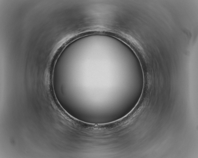 X0000113031318200908271446