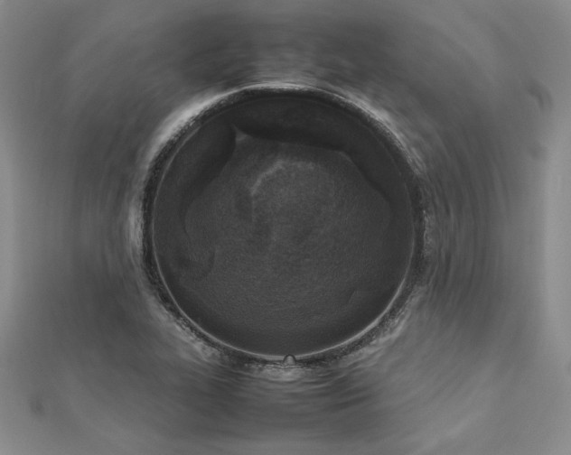 X0000113031319200908271446