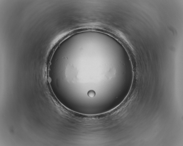 X0000113031320200908271446