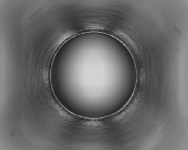 X0000113031321200908271446