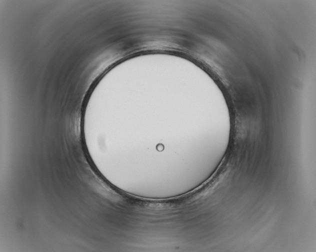 X0000113031322200908271446