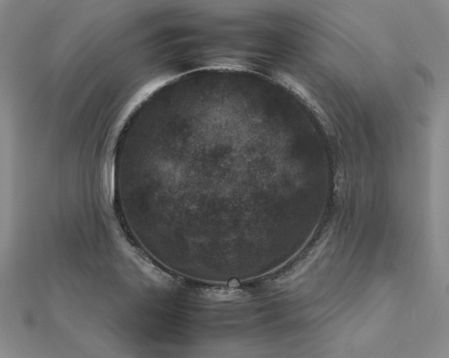 X0000113031323200908271446