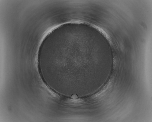 X0000113031327200908271447