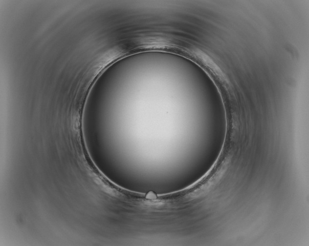 X0000113031329200908271447