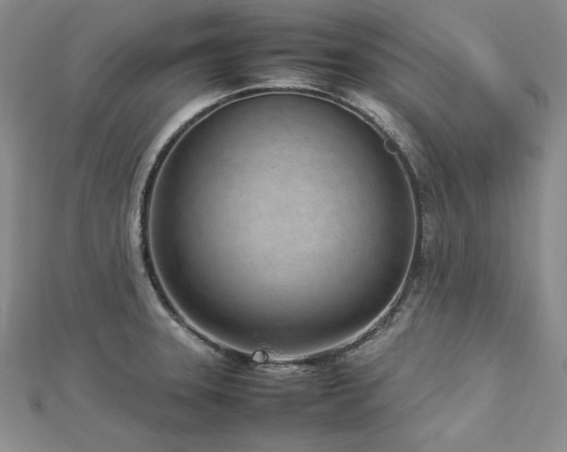 X0000113031331200908271447