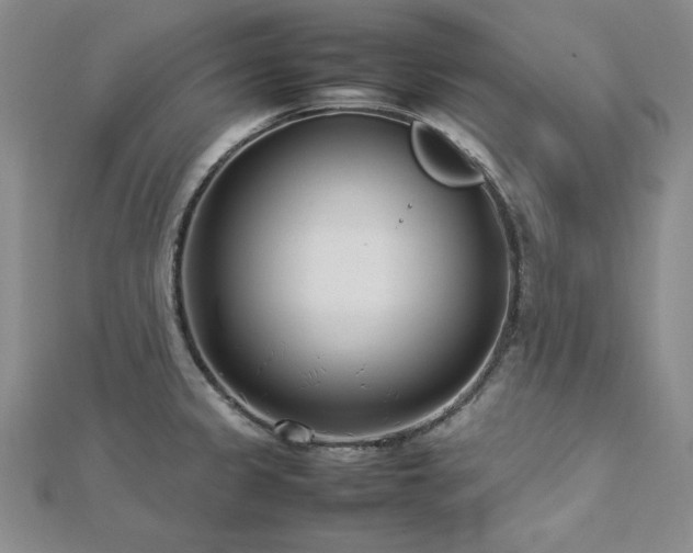 X0000113031333200908271447