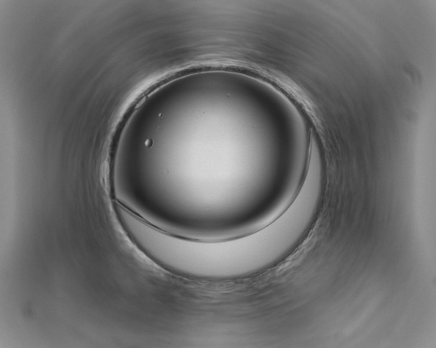 X0000113031334200908271447