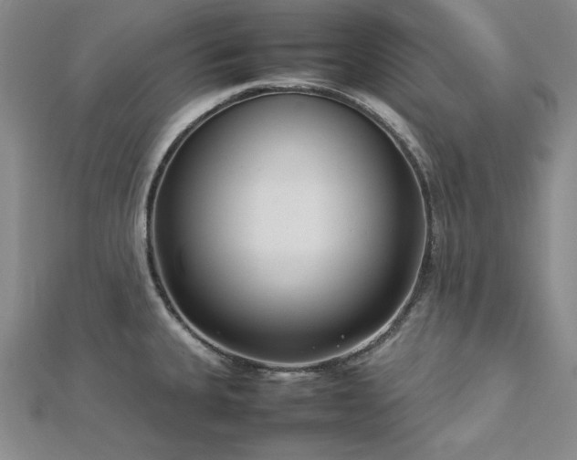 X0000113031335200908271447