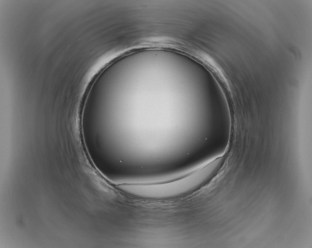 X0000113031336200908271447