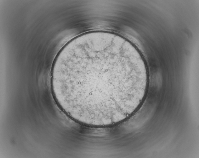 X0000113031338200908271447