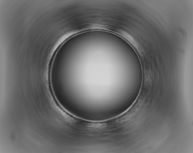 X0000113031339200908271447