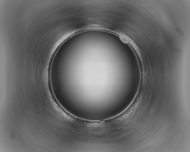 X0000113031341200908271447