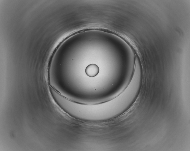 X0000113031342200908271447