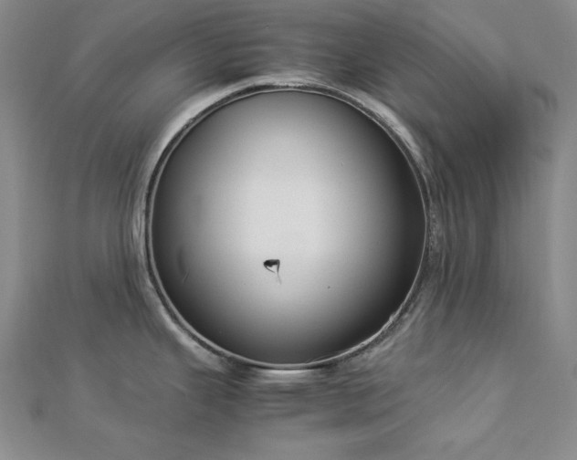 X0000113031343200908271447