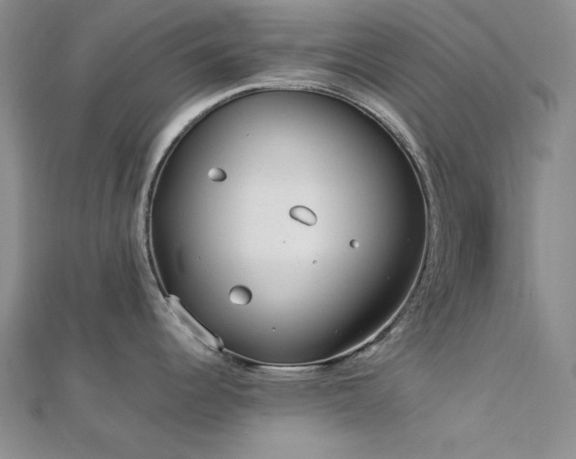 X0000113031344200908271447