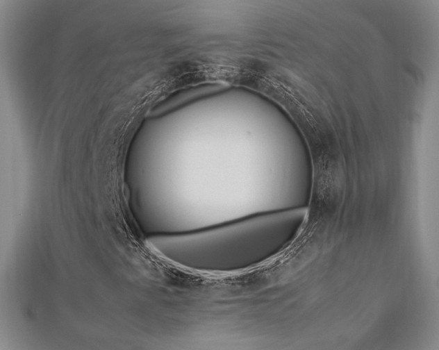 X0000113031345200908271446