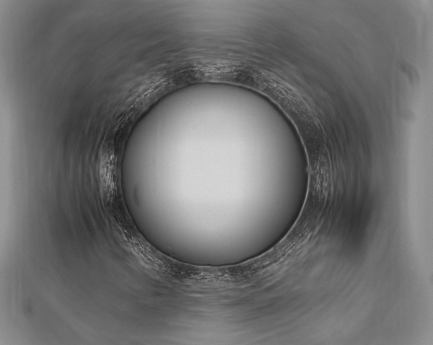 X0000113031346200908271446