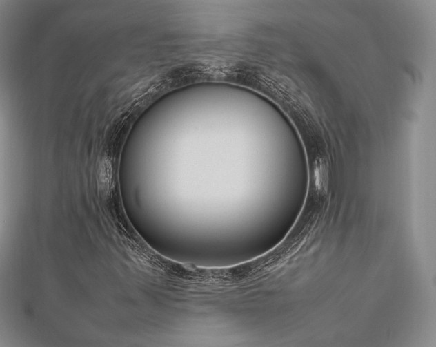 X0000113031347200908271446