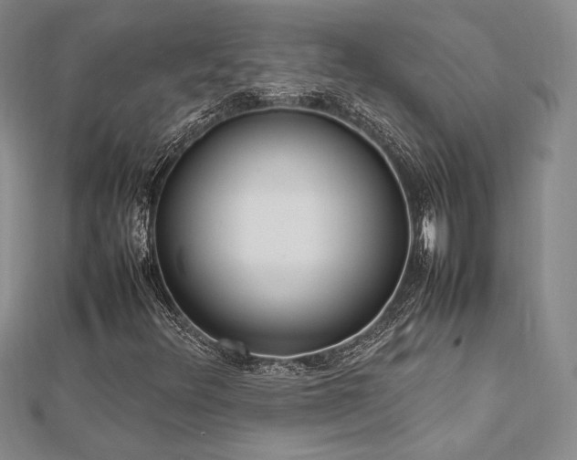 X0000113031348200908271446