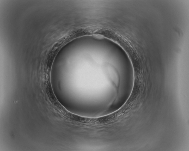 X0000113031349200908271446