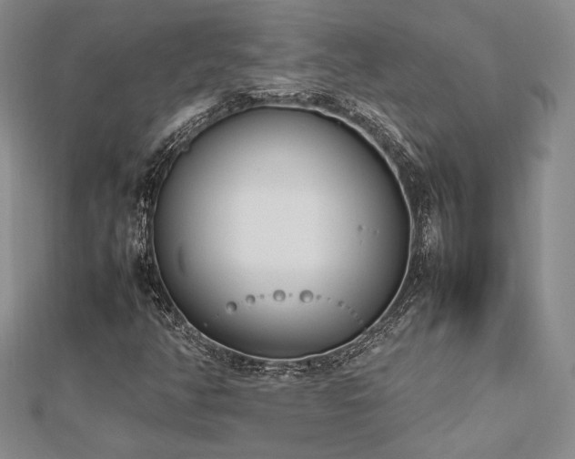 X0000113031350200908271446