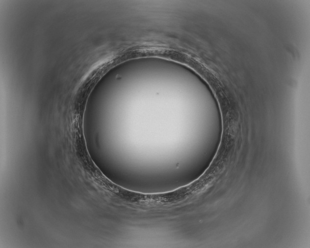 X0000113031351200908271446