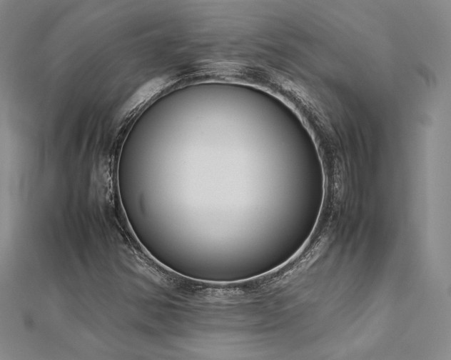 X0000113031354200908271446