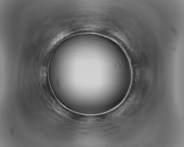 X0000113031355200908271446