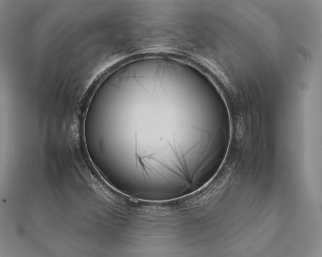 X0000113031356200908271446