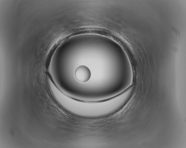 X0000113031357200908271446