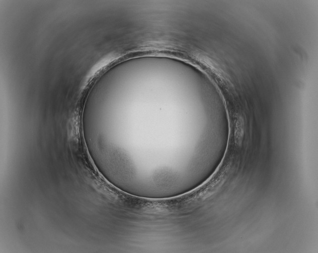 X0000113031358200908271446